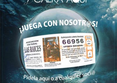 Raíces 2013 cartel lotería