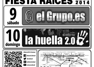 29 Raíces 2014 cartel grupos