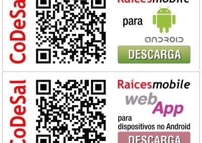 Banners Raícesmobile 2013